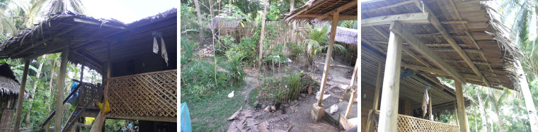 Images of foinished Nipa roof -with bits of old roof
        needing to removed from garden around house
