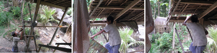 Images of finishing touches to
        rebuilding nipa roof