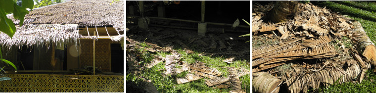 Images of Nipa roof being replaced -and nipa being used
        for compost