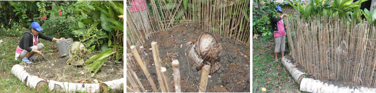 Images of woman working on root crop patch in garden