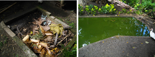 Images of failed dirty water filter system and duck pond
        full of algae