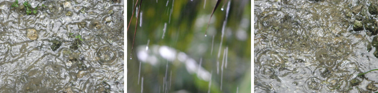 Images of tropical rain