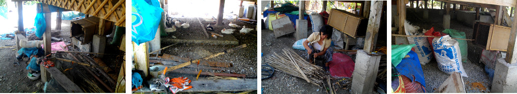 IMages of underneath tropical house being cleaned up