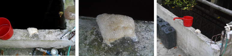 Images of Egg Foam near tropical water reservoir