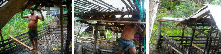 Images of extra tarpauline roof being added to tropical
        backyard pig pen