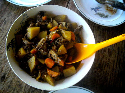 Image of home-made duck stew