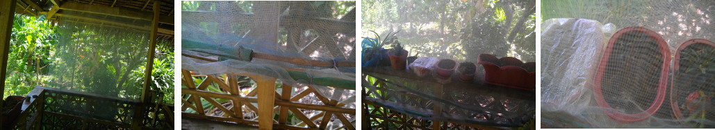 Images of anti-chicken net to protect balcony plants