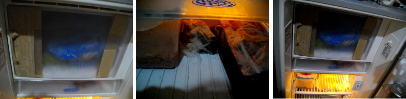 Images of kitchen freezer with meat inside