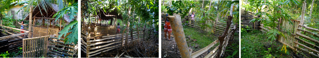 Images of goat pen under construction