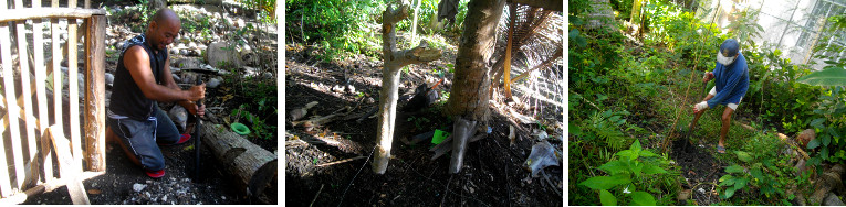 Images of Goat pen under construction