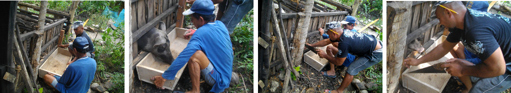 Images of building a pig trough