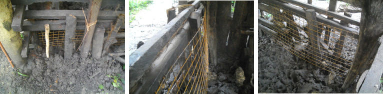 Images of steel matting used to repair tropical backyard
        pig pen