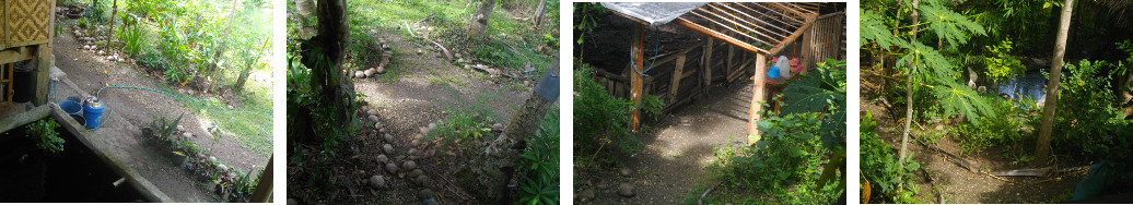 Images of a tropical garden morning
        after rain in the night