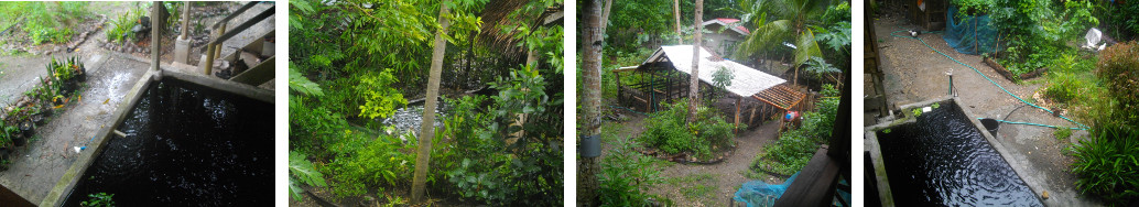 Images of a rainy tropical morning