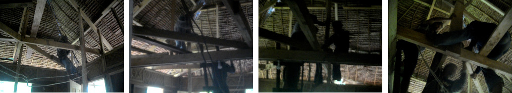 Images of tropical house roof being changed