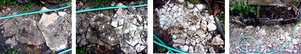 IMages of concrete left by builders
        broken up to makea tropical backyard garden paths