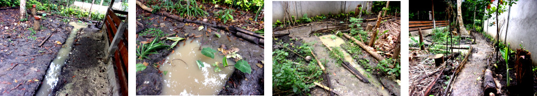 Images of the effect of heavy rain in a tropicac
        backyard garden