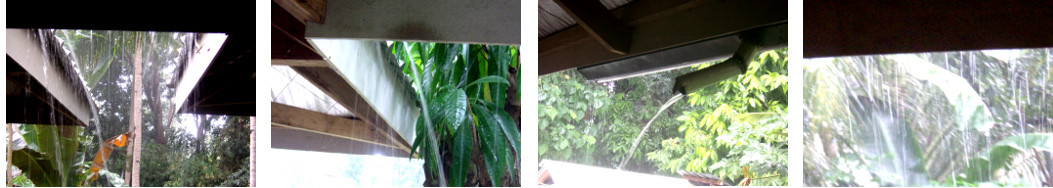 Images of tropical rain