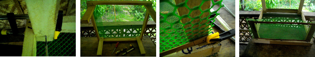 Images of construction of garden frame as protection
        against tropical backyard chickens
