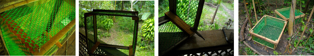 Images of tropical garden frame to protect newly planted
        seeds against chickens