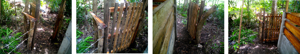 Images of back gate constructed behind
        pig pen in tropical backyard