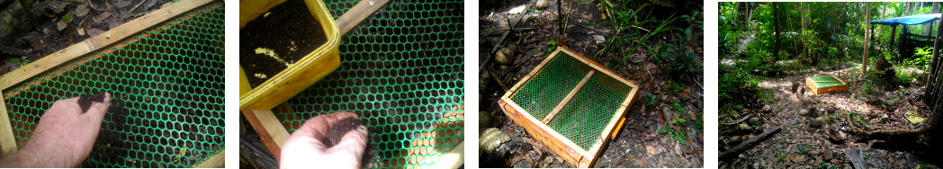 Images of new tropical garden frame protecting seeds
        from chickens