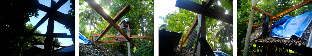 Images of construction of pig pen roof in tropical
        backyard