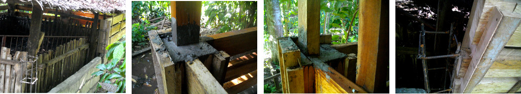 Images of construction of tropical backyard pig pen
        -around existing pen