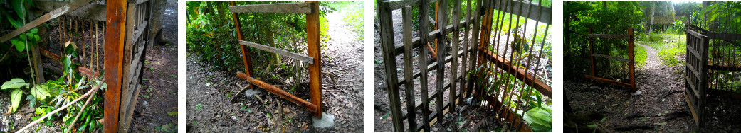 Images of new gate in tropical
        backyard