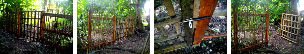 Images of tropical backyard side gate fully
        reconstructed