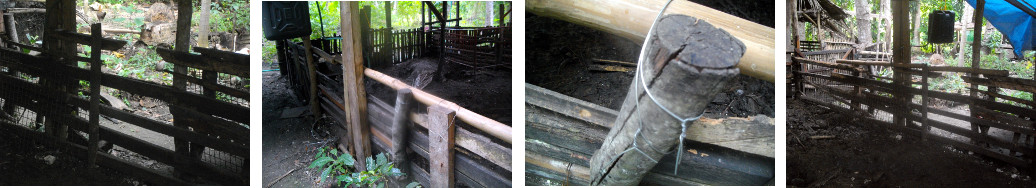 Images of repairsto tropical backyard pig pen