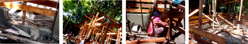 Images of construction of tropical backyard pigpen