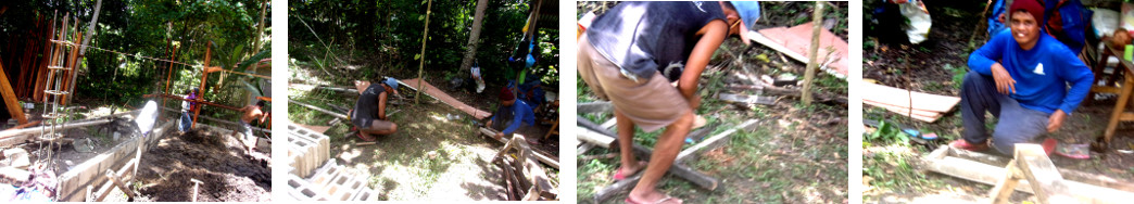 Images of men building a tropical backyard pig pen