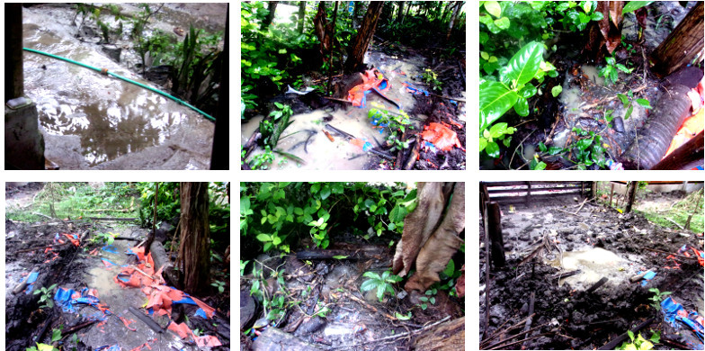 Images of flooding in tropical
        backyard