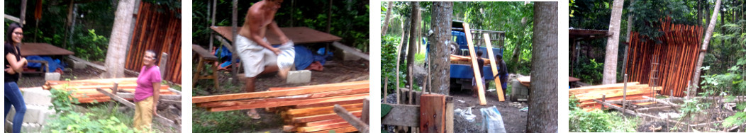 Images of wood being unloaded for new
        tropical backyard pig pen