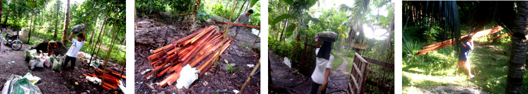Images of construction of new tropical backyard pig
          pens