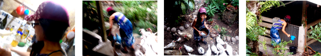 Images of a woan wearing a cap while feeding tropical
          backyard animals