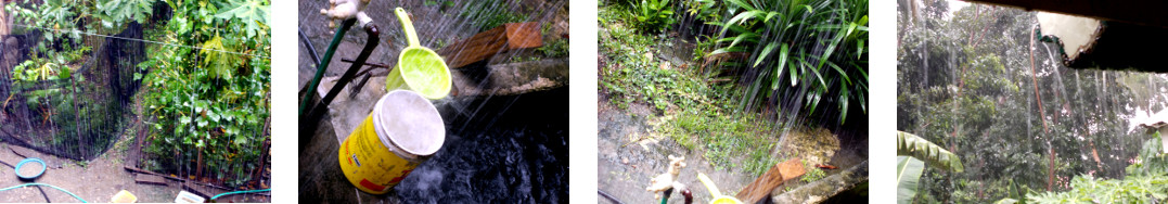 Images of rain in tropical backyard