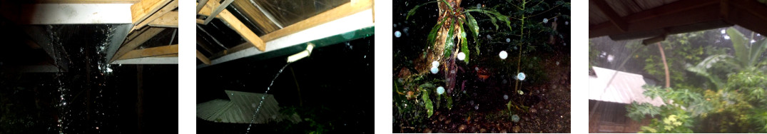 Images of early morning rain in
        tropical backyard