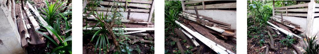 Images of unused planks dumped in
        tropical garden