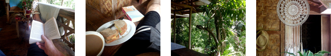 Images of a hot lazy day on a tropical
        balcony