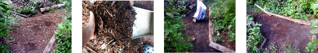 Images of path cleared of sawdust
        after tree felling in tropical backyard