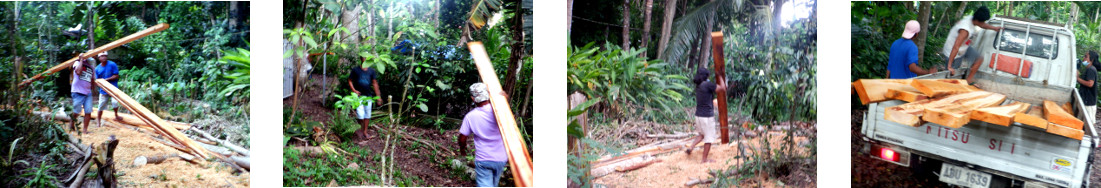 Images of recently sawn lumber being
        removed from tropical backyard
