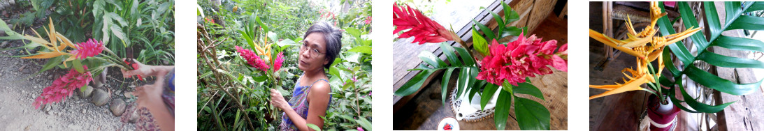 Images of gathering flowers in
        tropical backyard