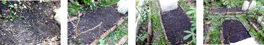 Images of tropical backyard garden
        patches cleaned ready for re-seeding