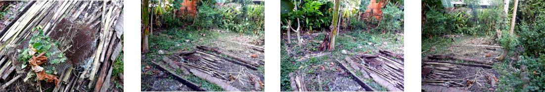 Images of tropical backyard garden after rusty
        protective fences have been removed