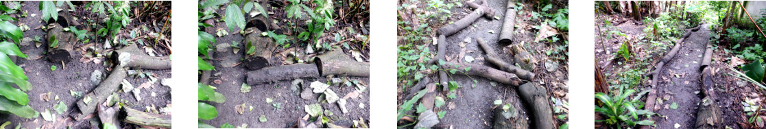 Images of repairs after rain damage in
        tropical backyard garden