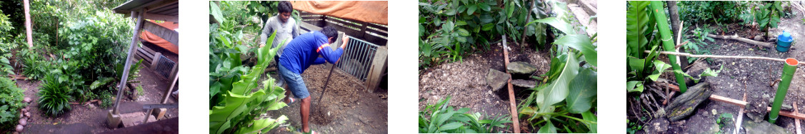 Images of preliminary work on pig run fence in
            tropical backyard