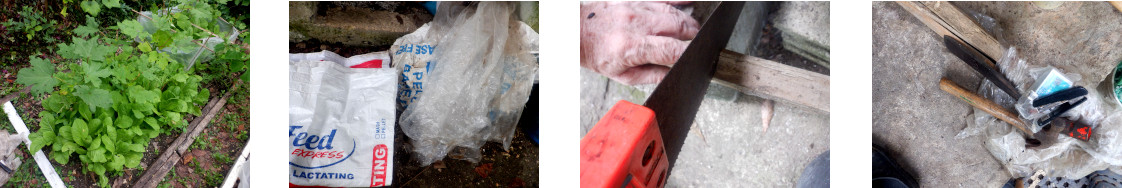 Images
        of preparing plastic garden barrier from used pig food sacks