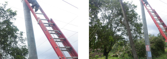 Images of a Bohol linesman restoring power nearly two
        months after a typoon hit the area